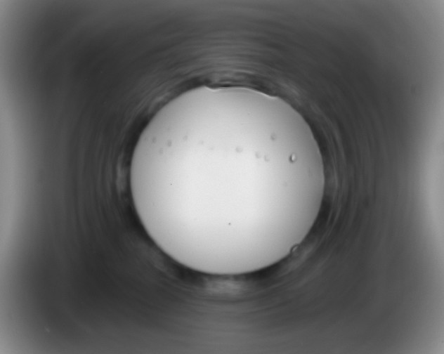 X0000083990282200703091851