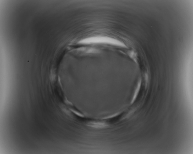 X0000083990284200703091851