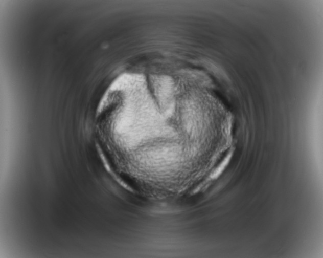 X0000083990285200703091851