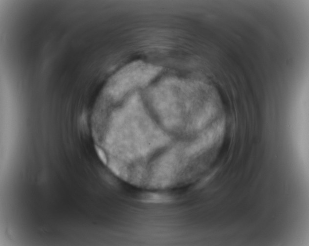 X0000083990286200703091851