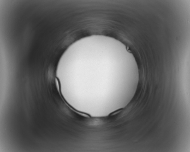 X0000083990287200703091851