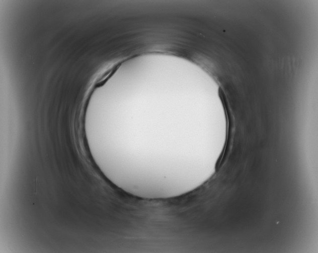 X0000083990289200703091851