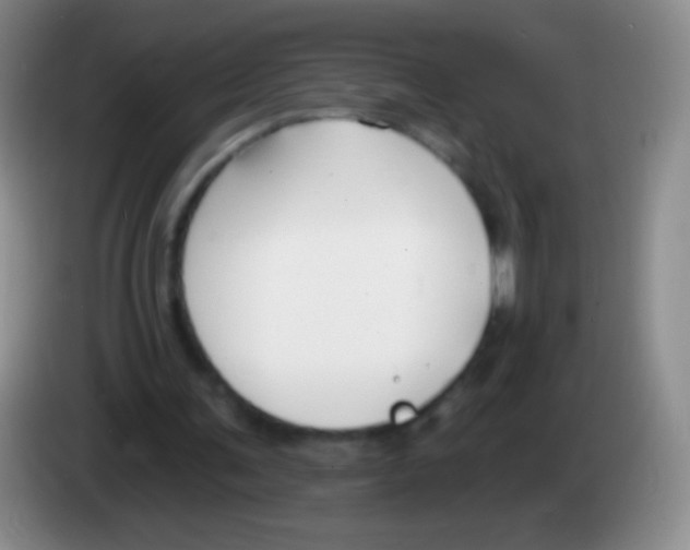 X0000083990291200703091851