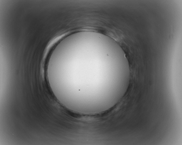 X0000083990294200703091851