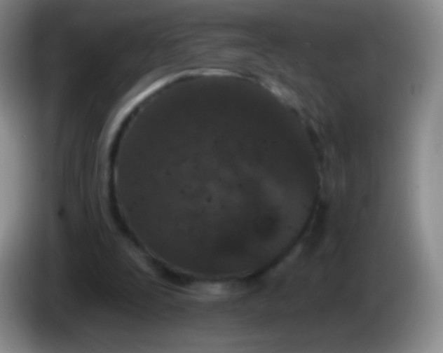 X0000083990295200703091851