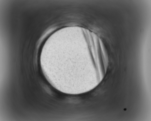 X0000083990296200703091851