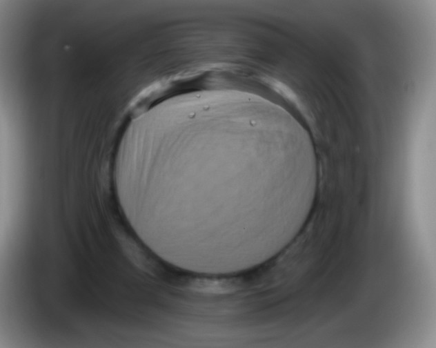 X0000083990297200703091851