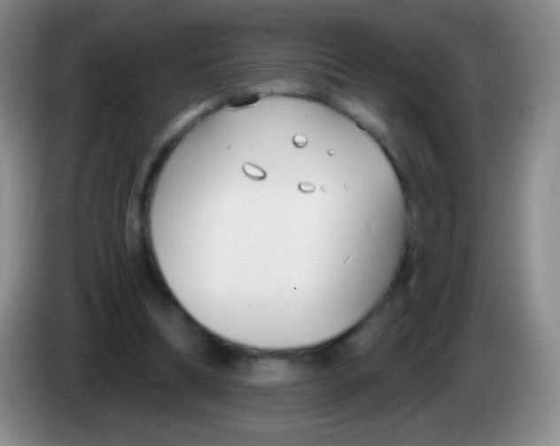 X0000083990298200703091851