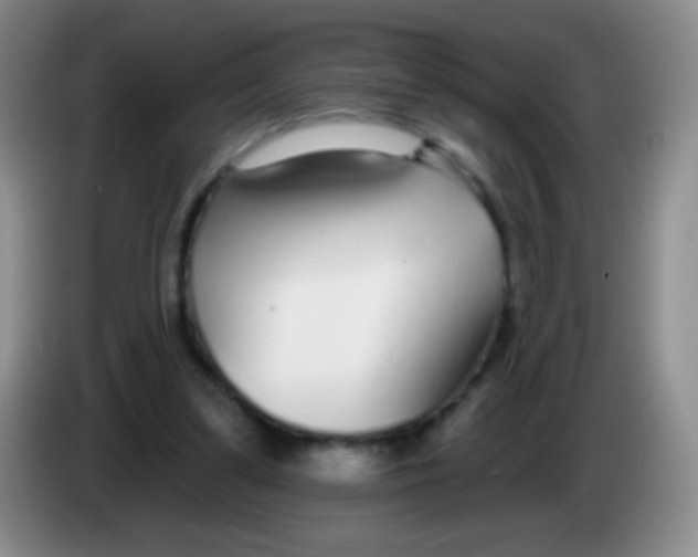 X0000083990299200703091851