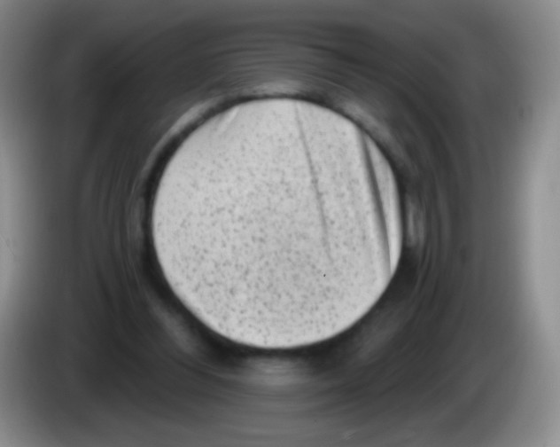 X0000083990300200703091851