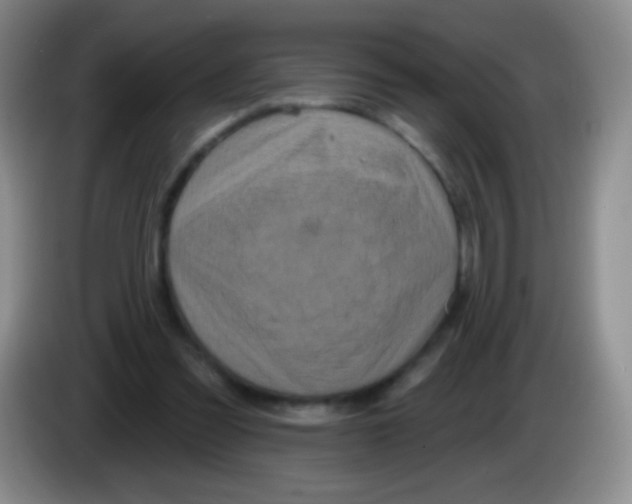 X0000083990301200703091851