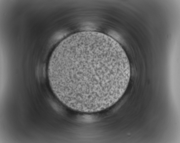 X0000083990302200703091851