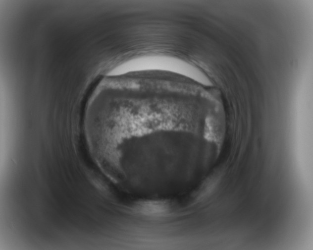 X0000083990303200703091851