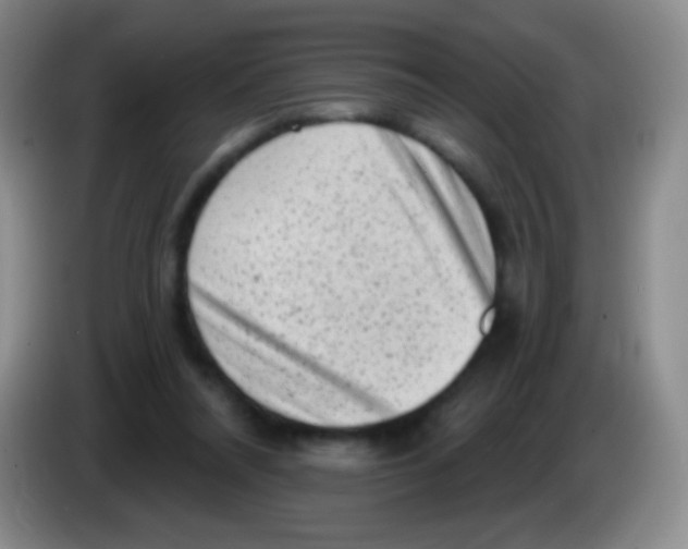 X0000083990304200703091851