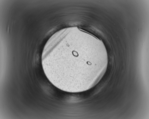 X0000083990308200703091851