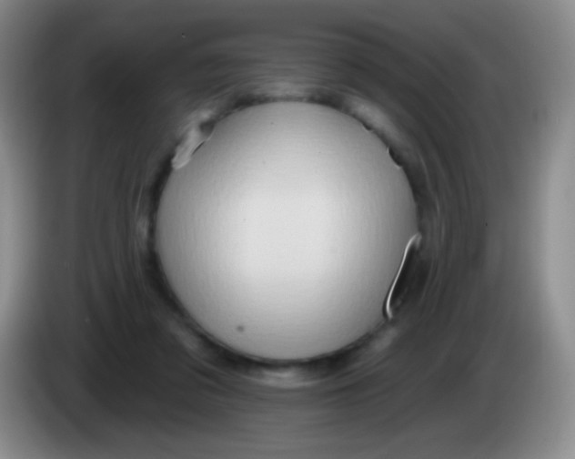 X0000083990309200703091851