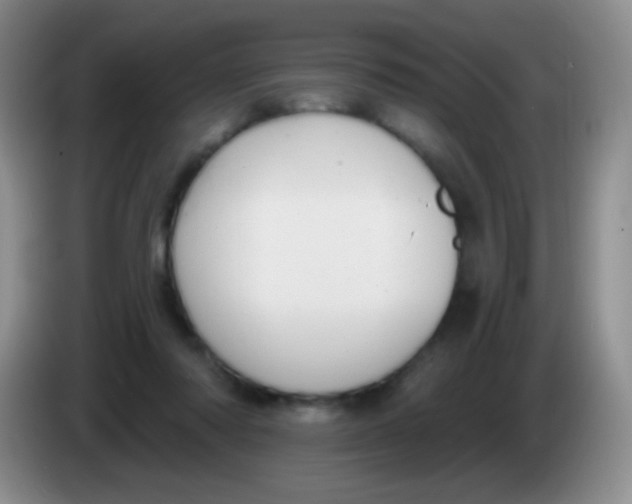 X0000083990310200703091851