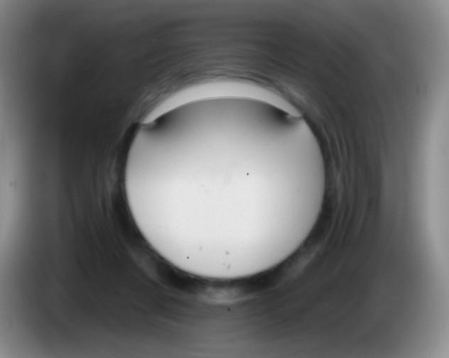 X0000083990311200703091851