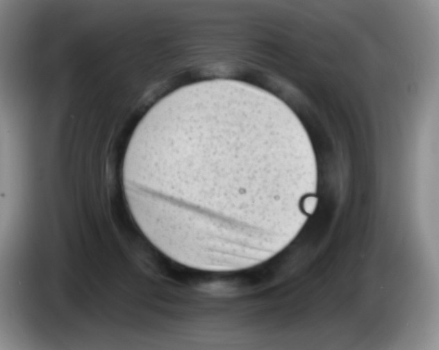 X0000083990312200703091851