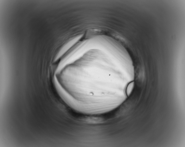 X0000083990315200703091851