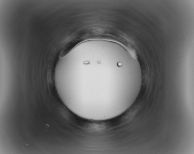 X0000083990317200703091850