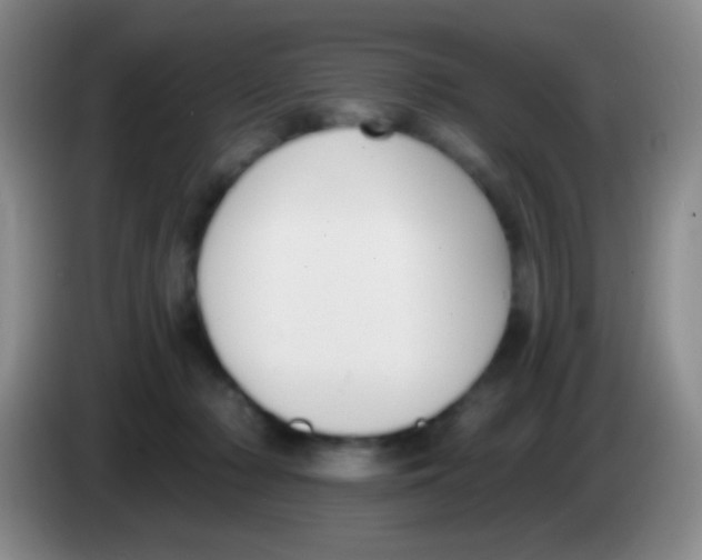 X0000083990318200703091850