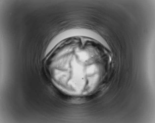 X0000083990319200703091850