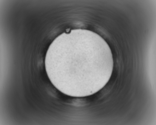 X0000083990320200703091850