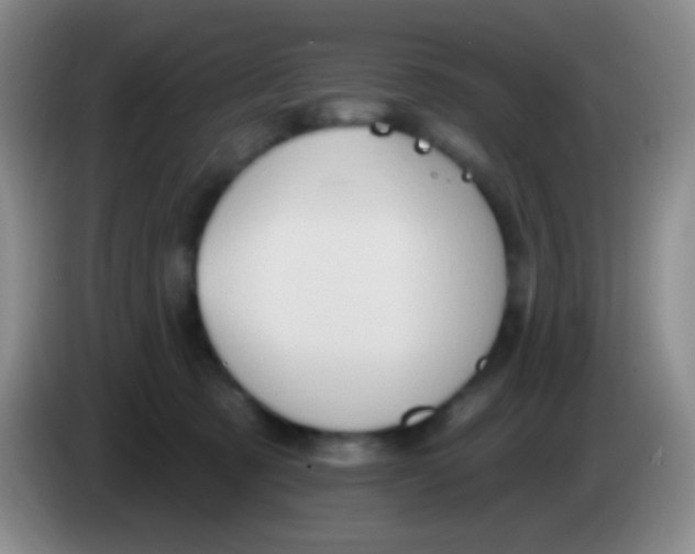 X0000083990321200703091850