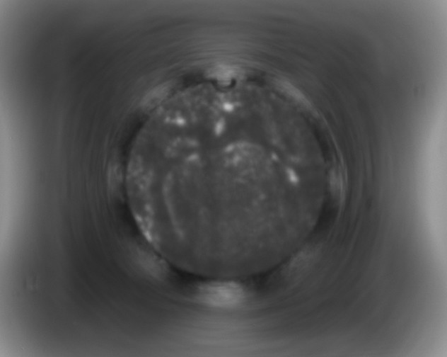 X0000083990322200703091850