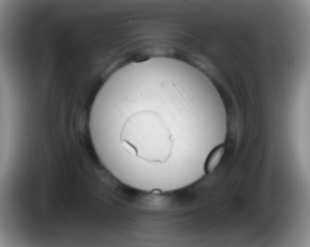 X0000083990326200703091850