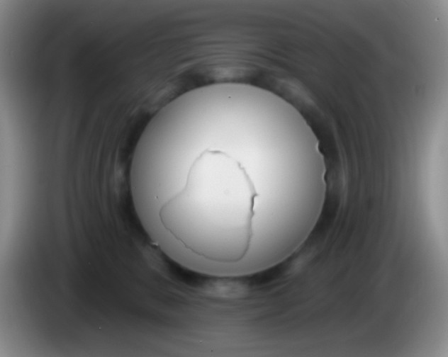 X0000083990327200703091850