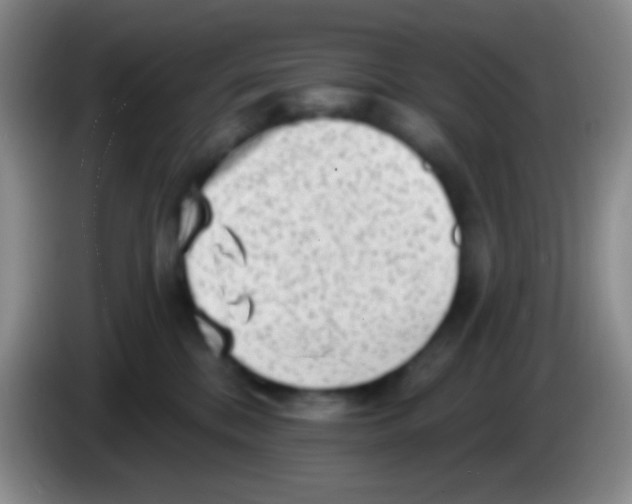 X0000083990328200703091850