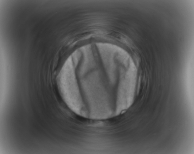 X0000083990330200703091850