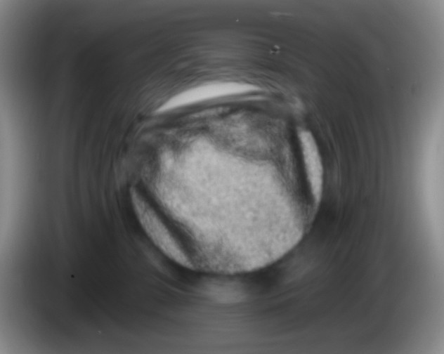 X0000083990331200703091850