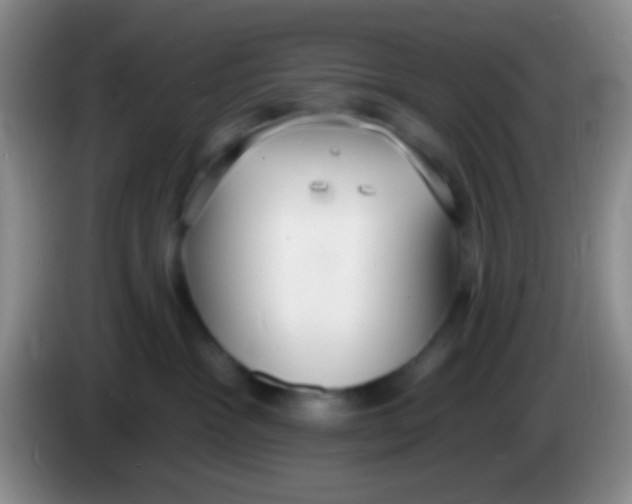 X0000083990333200703091850