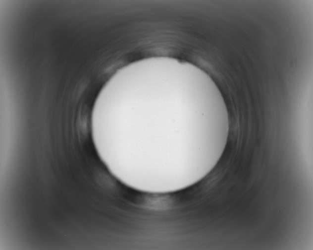 X0000083990334200703091850