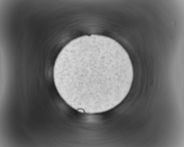 X0000083990336200703091850