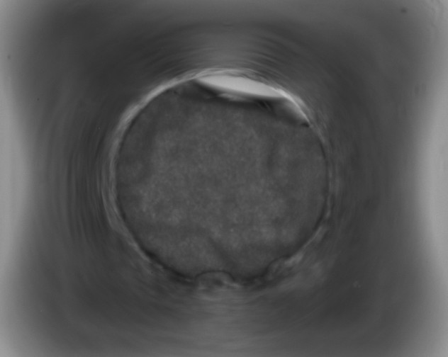 X0000083990337200703091850