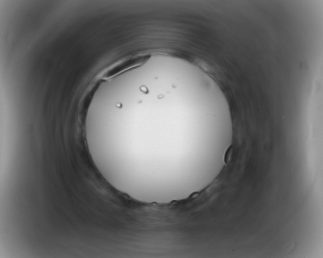 X0000083990338200703091850