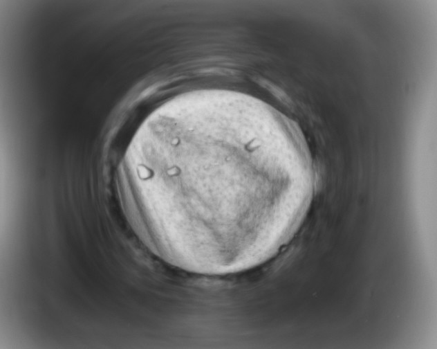 X0000083990339200703091850