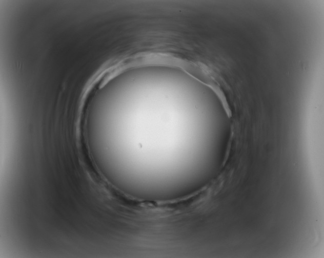 X0000083990340200703091850