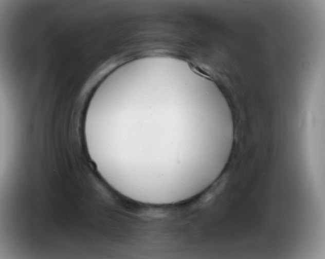 X0000083990341200703091850