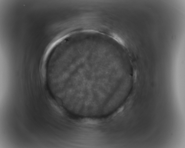 X0000083990343200703091850