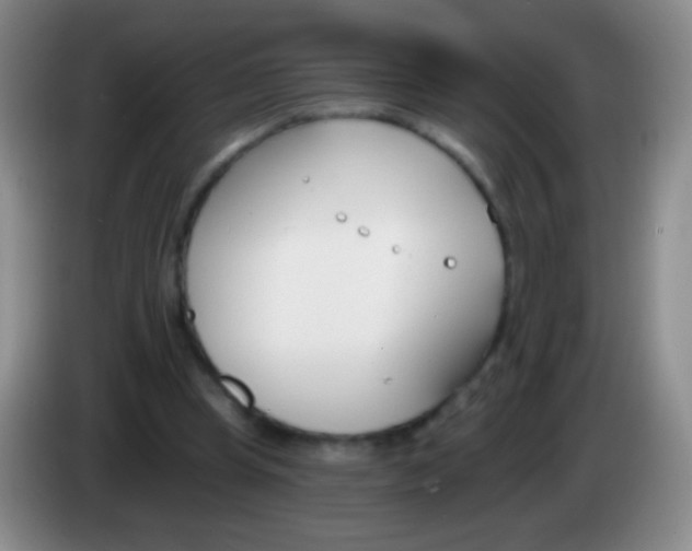 X0000083990345200703091850