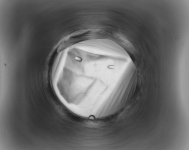 X0000083990346200703091850