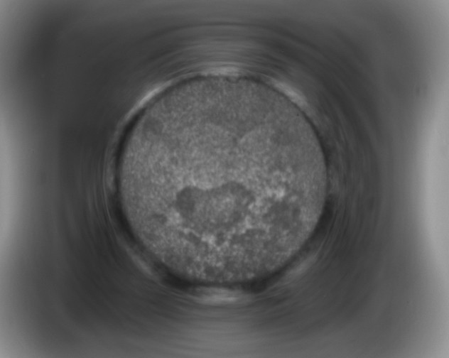 X0000083990347200703091850