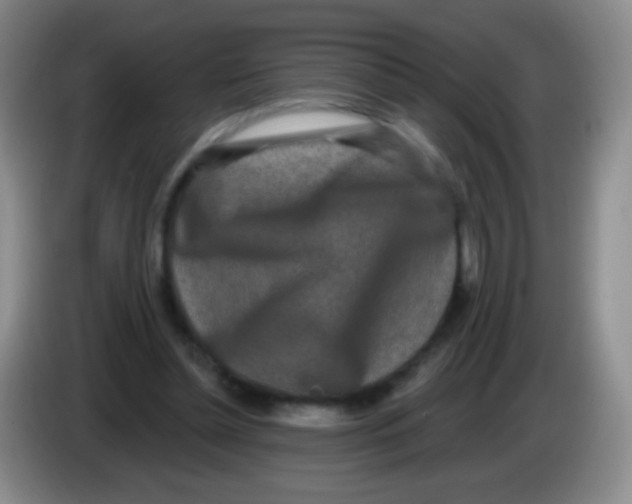 X0000083990348200703091850