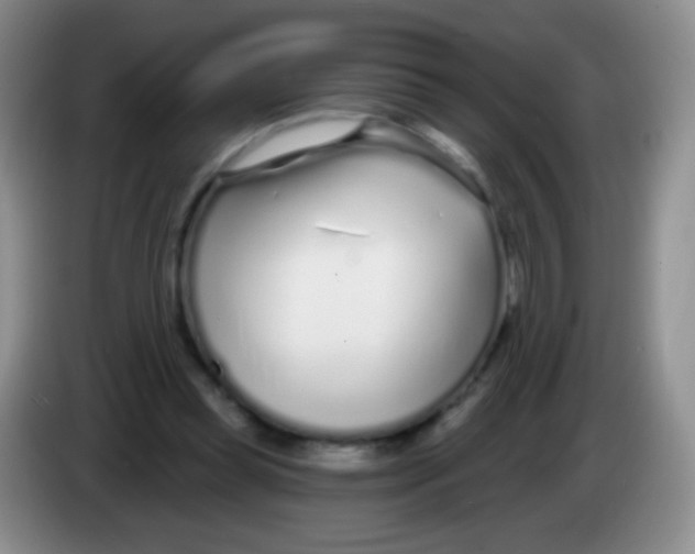 X0000083990349200703091850