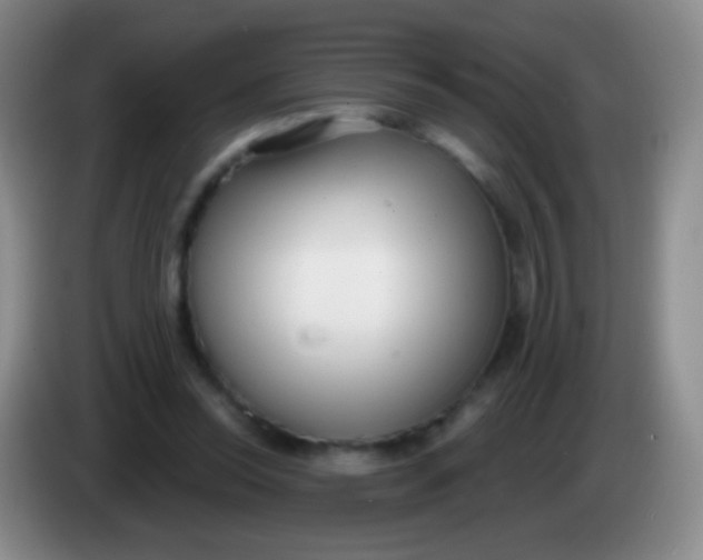 X0000083990350200703091850